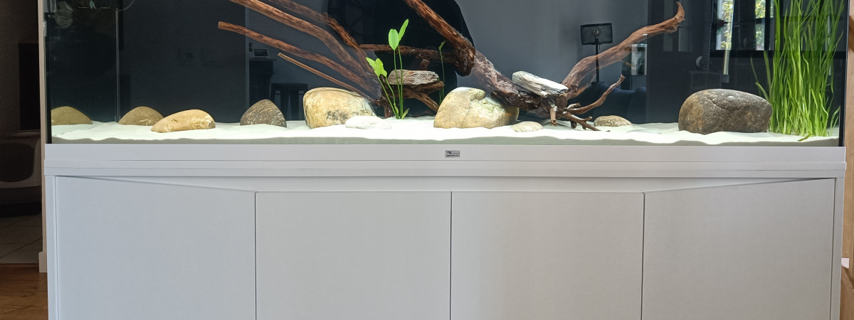 aquarium 600 litres