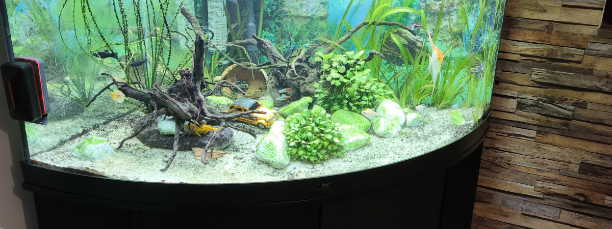 aquarium Communautaire
