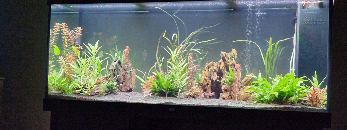 aquarium Juwel rio 450
