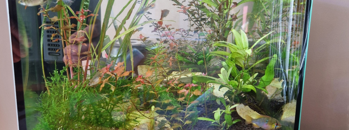 aquarium Superfish Qubiq 30
