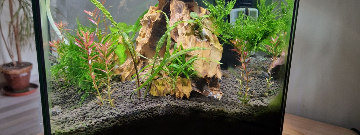 aquarium Superfish Qubiq 30