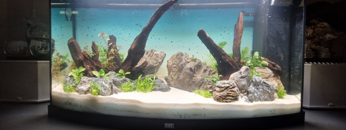 aquarium Vision 180