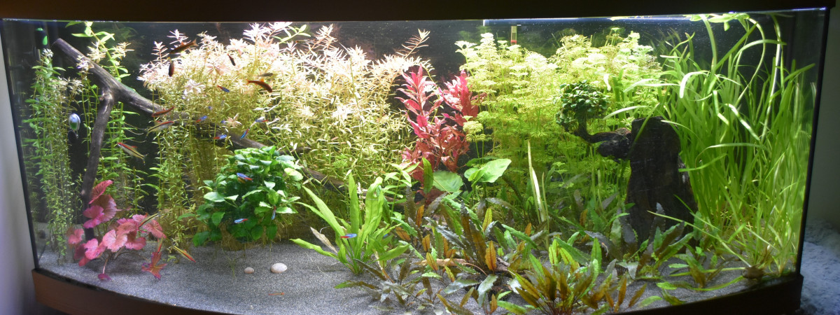 aquarium Juwel vision 450 l