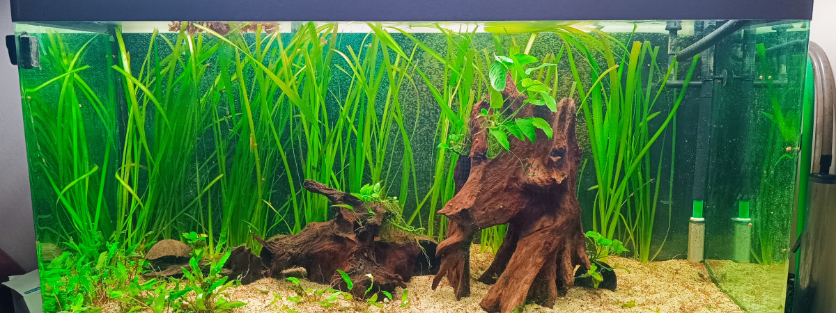 aquarium Osaka 320