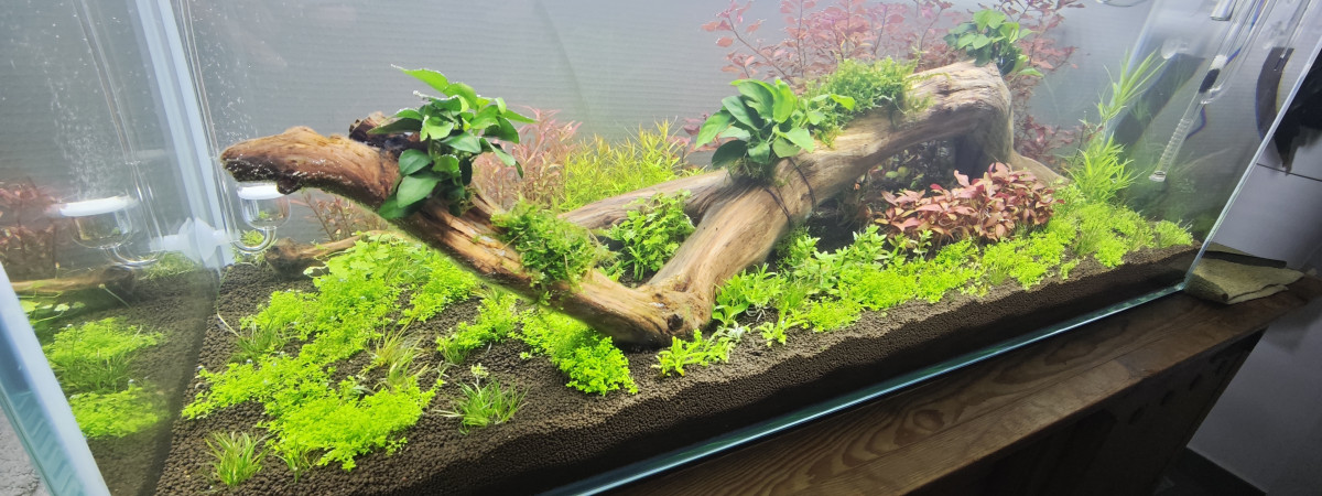 aquarium Centsoixante