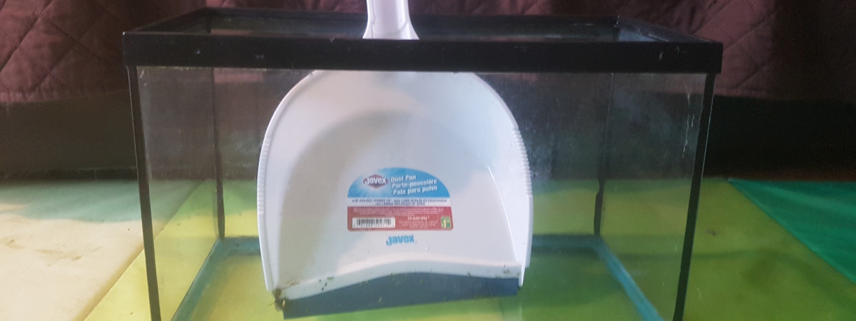 aquarium 20L à l arrêt