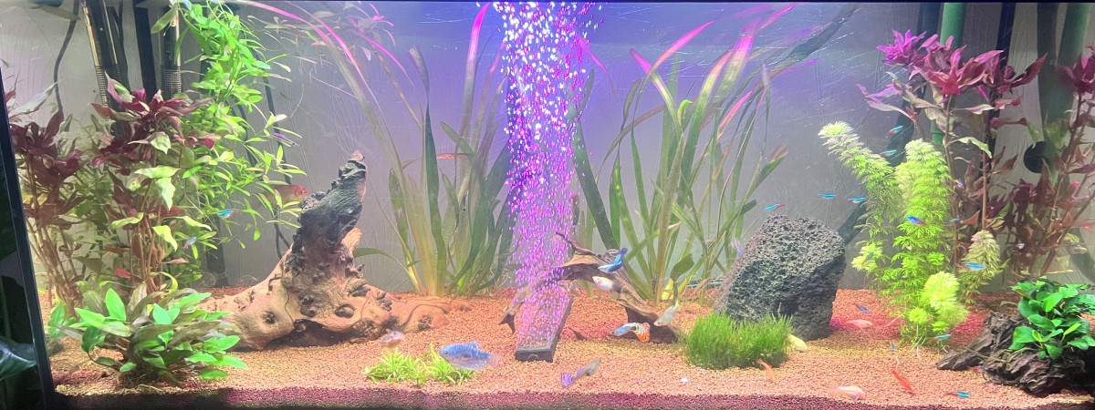 aquarium Premier 180l