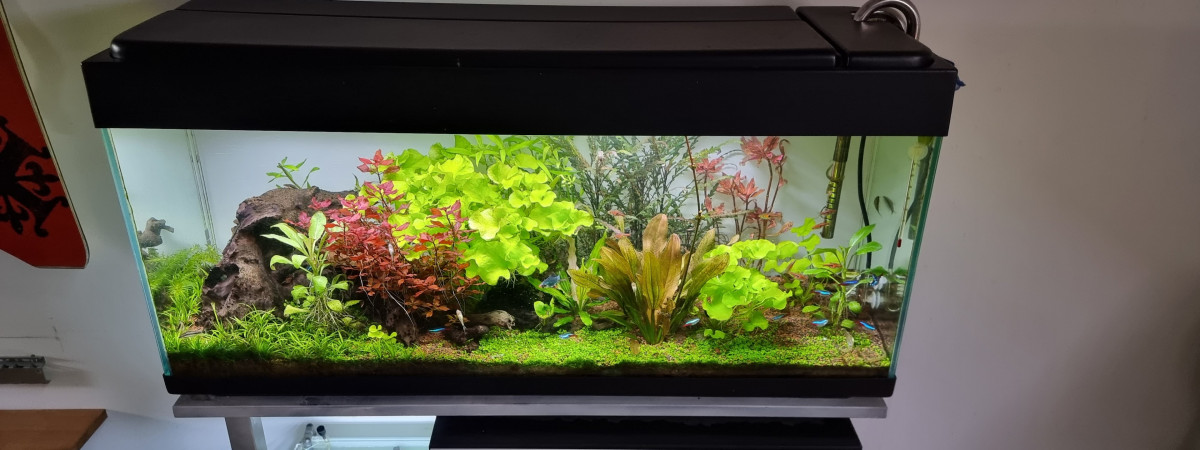 aquarium 120l v2