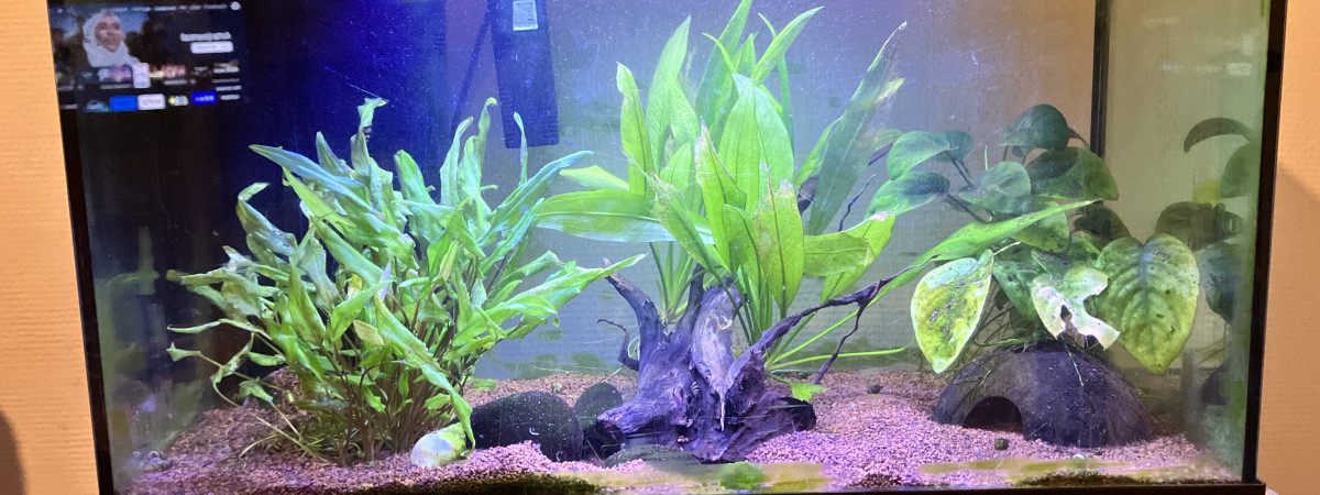 aquarium 60L Led