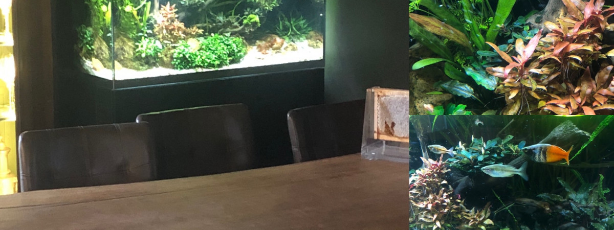 aquarium Highline 300 - le dArville