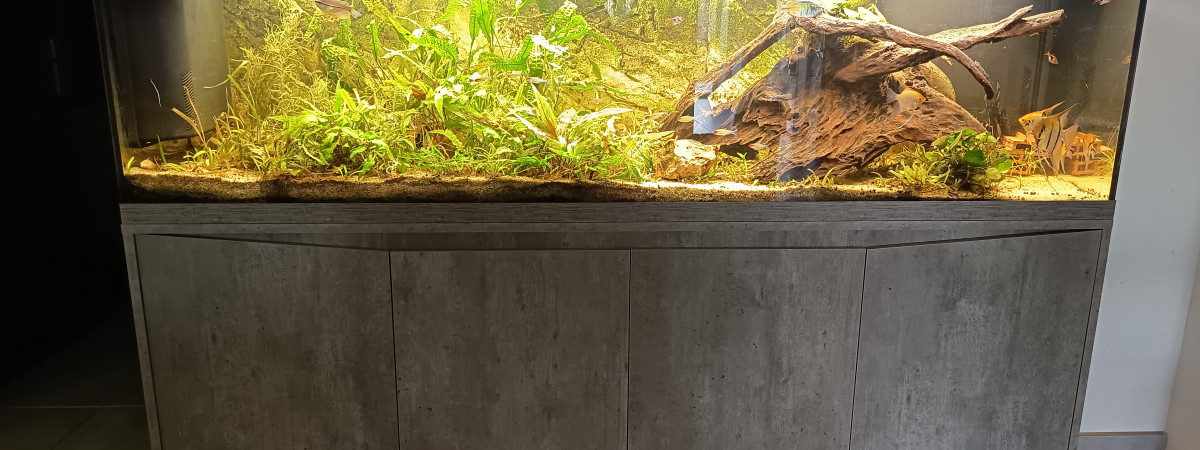 aquarium Aquarium 500L