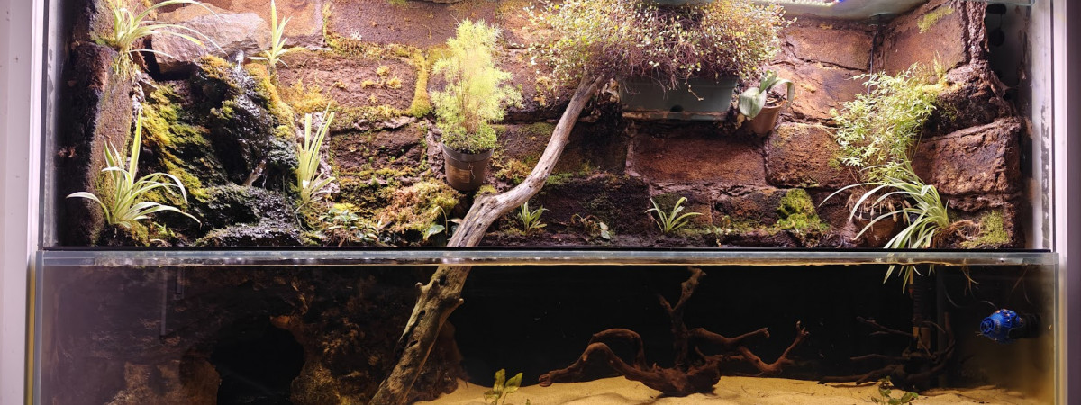 aquarium Paludarium