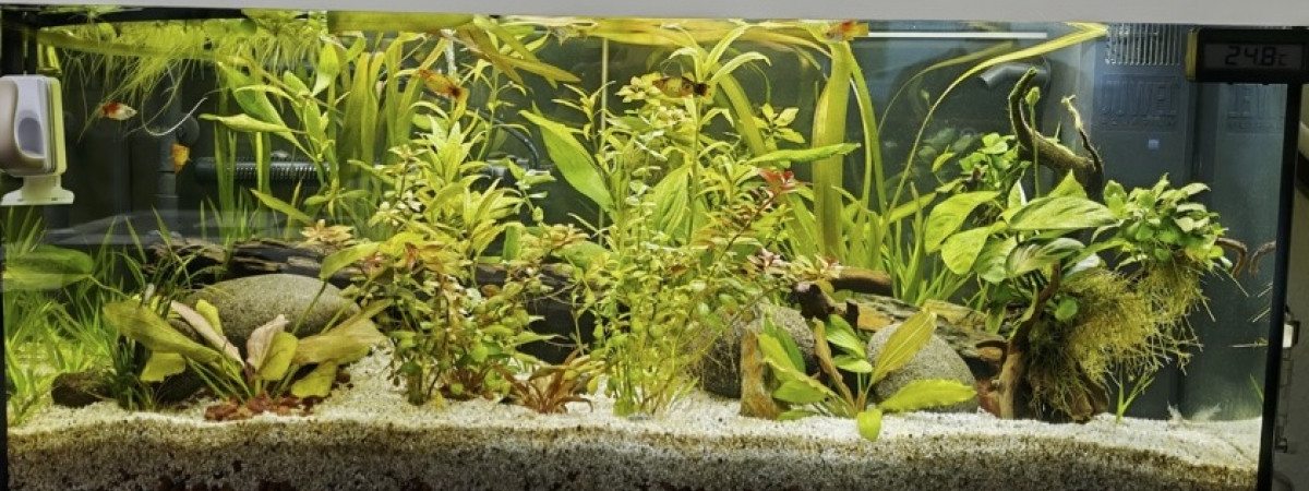 aquarium Juwel Rio 180