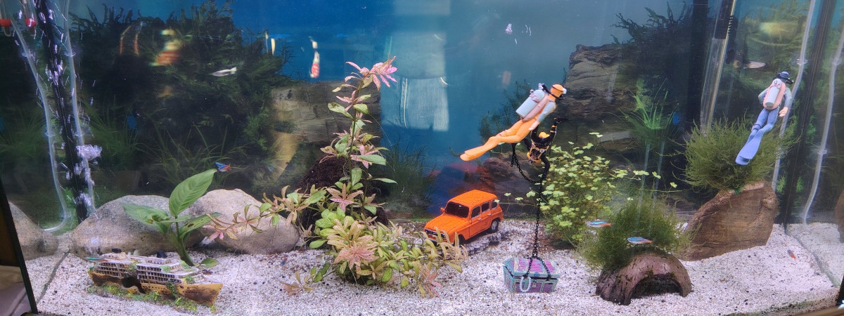 aquarium Mix salle a manger