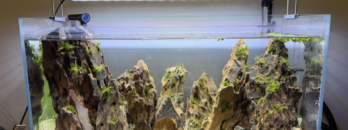aquarium 1er bac