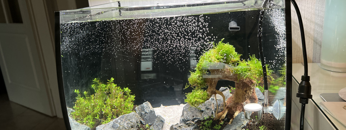 aquarium 30L