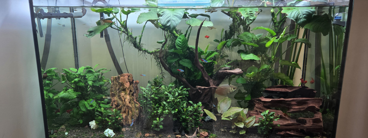 aquarium Aquatlantis