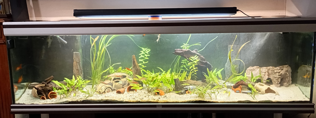 aquarium Aquarium 600 litres