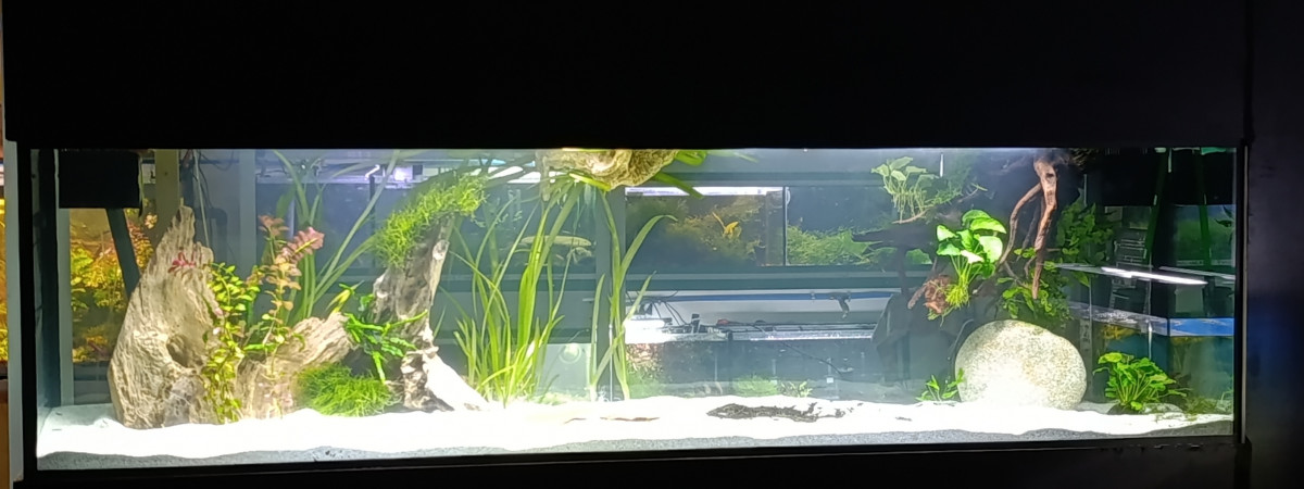 aquarium POSEIDON 1000