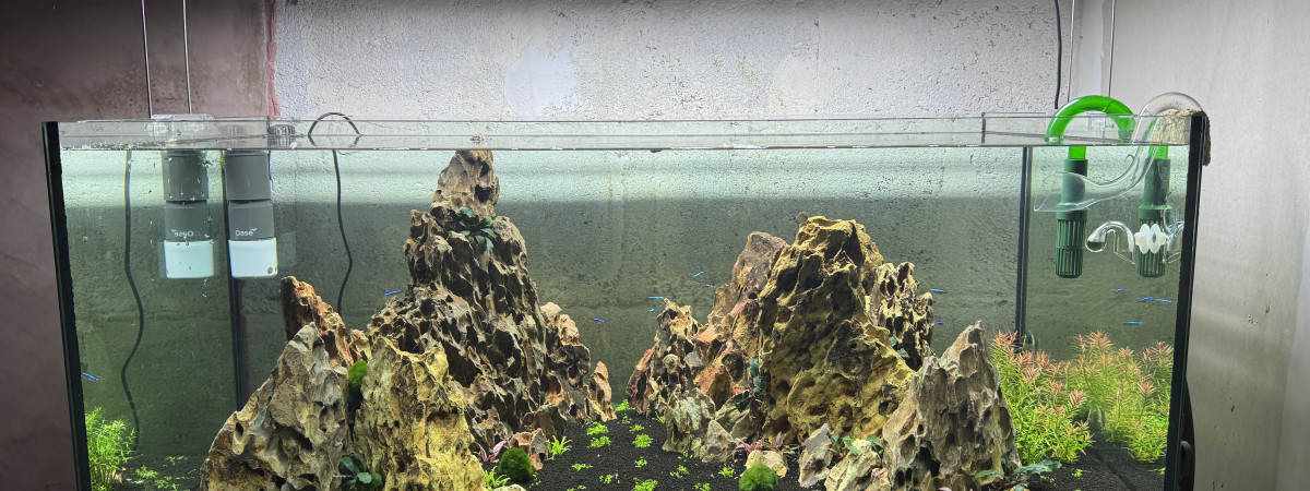 aquarium Ohko stone aquarium