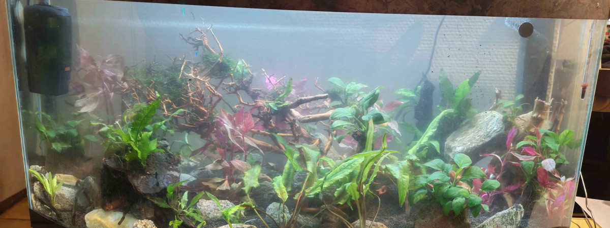 aquarium Big one