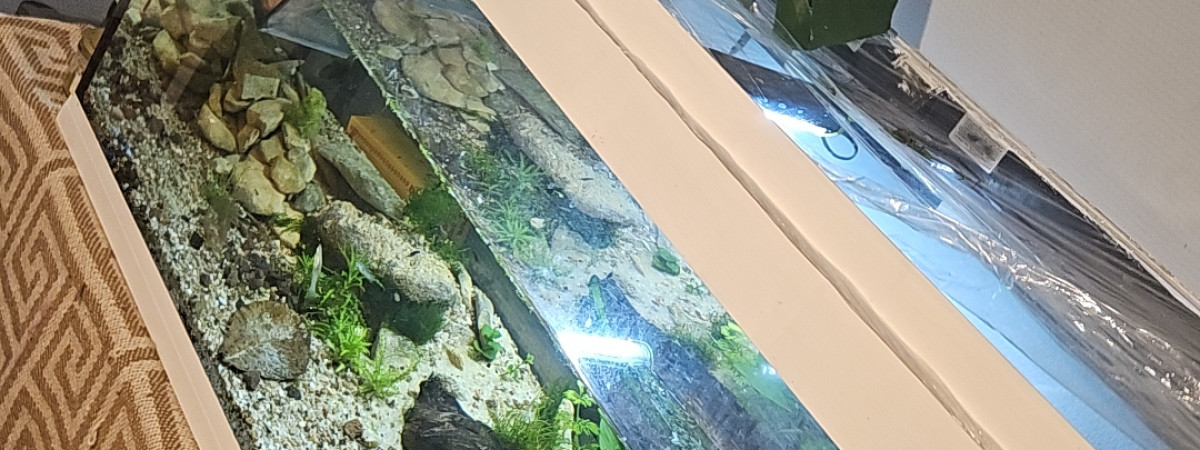 aquarium 200L