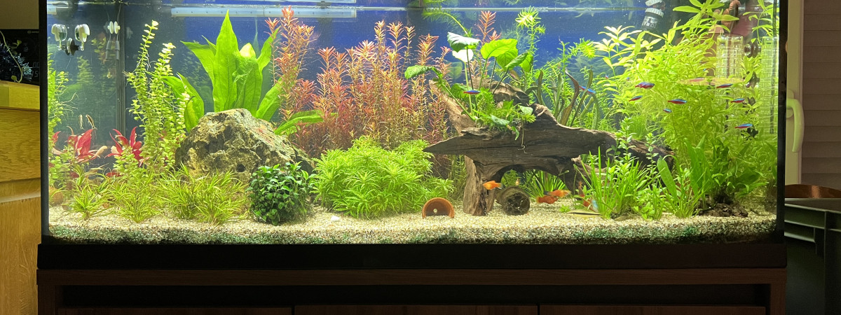 aquarium Aquarium 200 litres