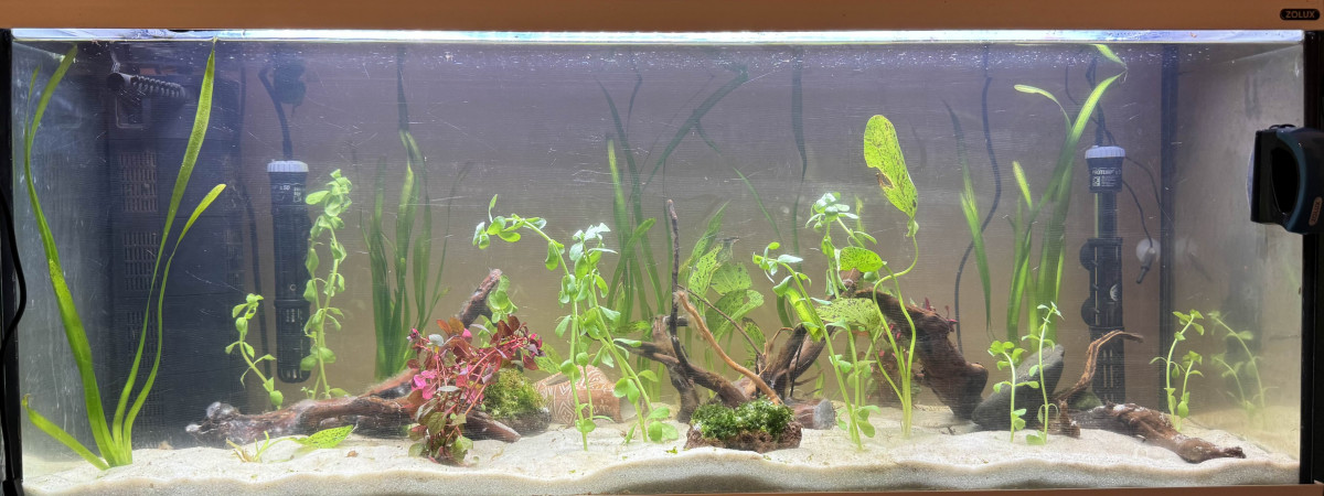 aquarium Zolux 100L