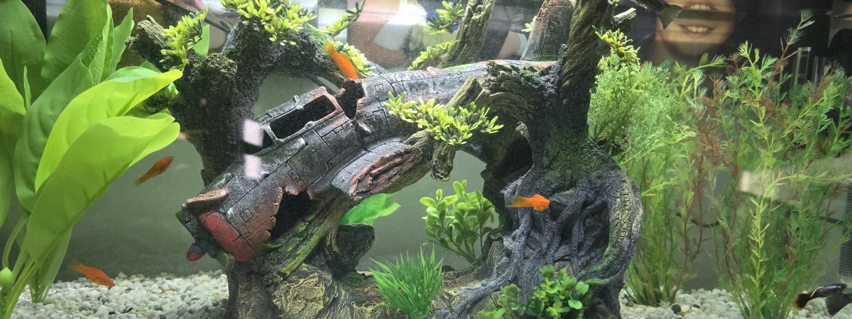 aquarium Mon 80 litres