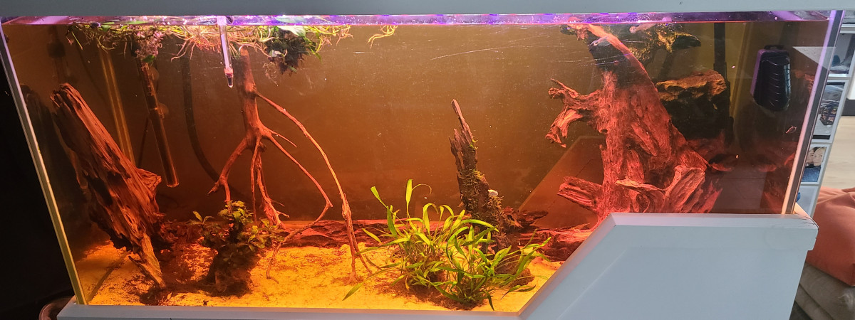 aquarium Communautaire