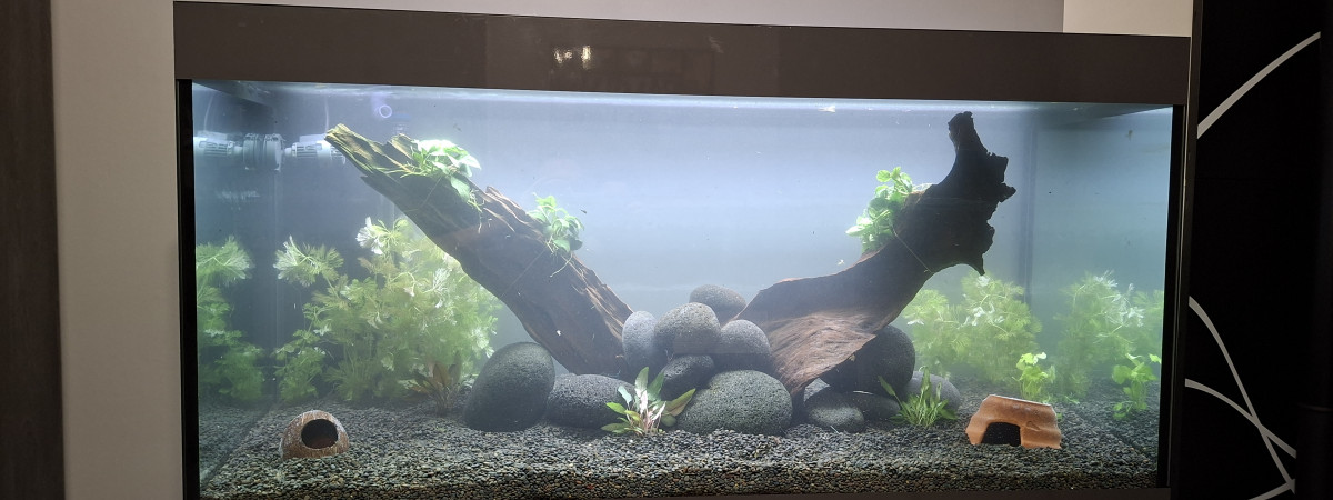 aquarium Communautaire