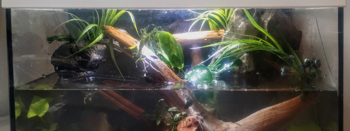 aquarium Recup Palu Aquaterrarium