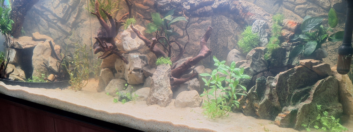aquarium Le vivre ensemble
