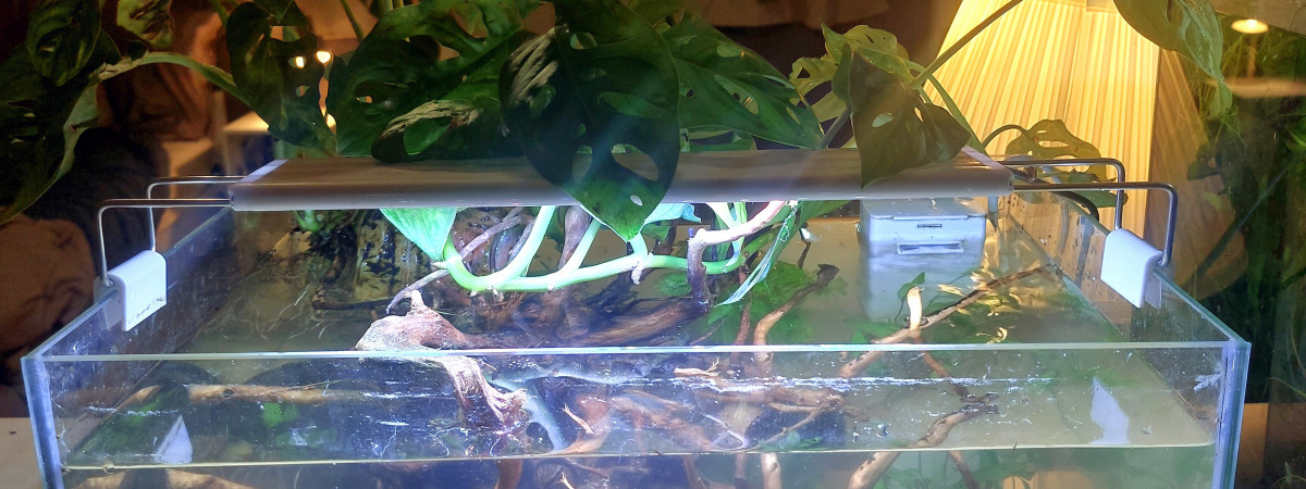 aquarium Shallow 30L