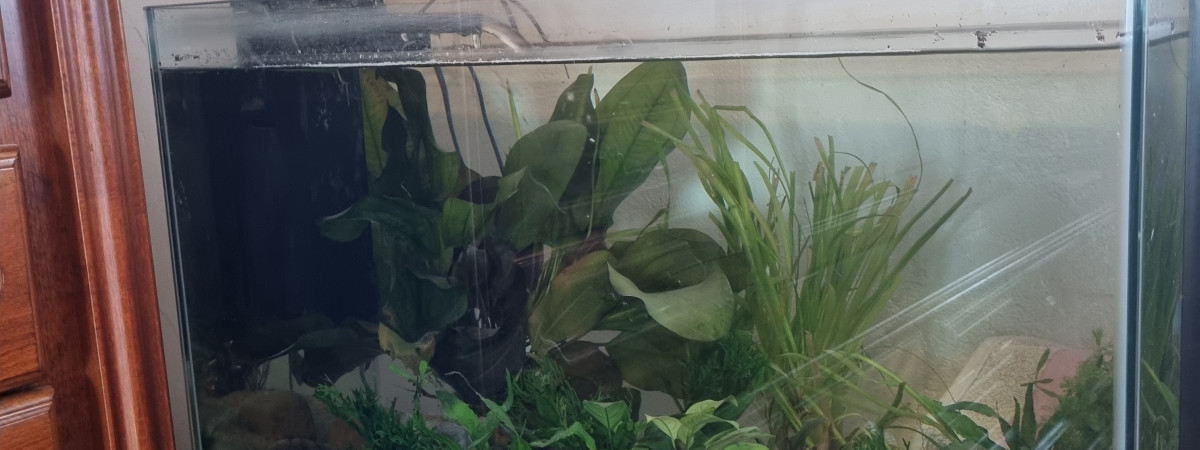 aquarium Margaret83