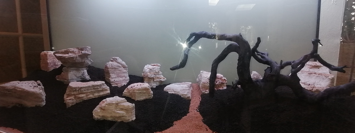 aquarium Kurenai no sosei