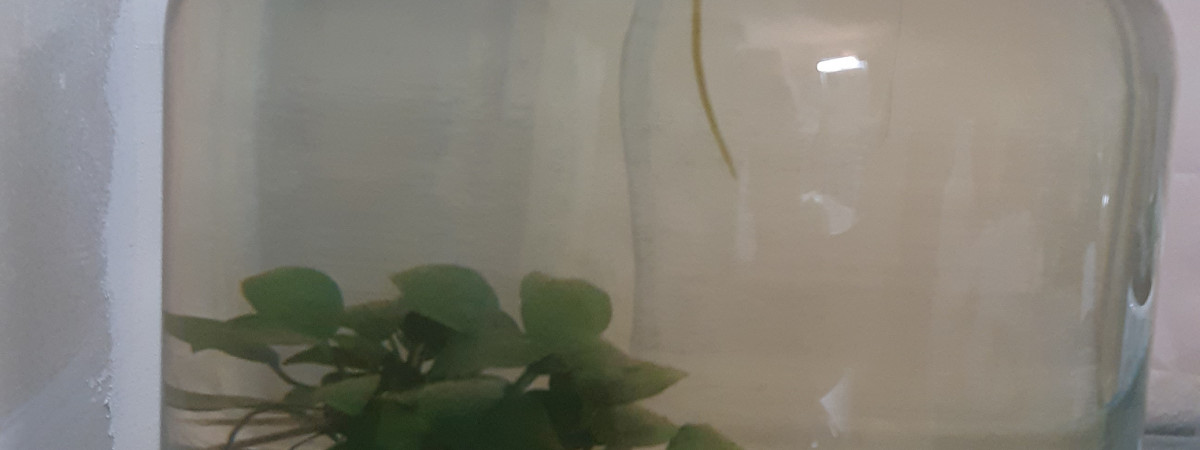 aquarium Reserve