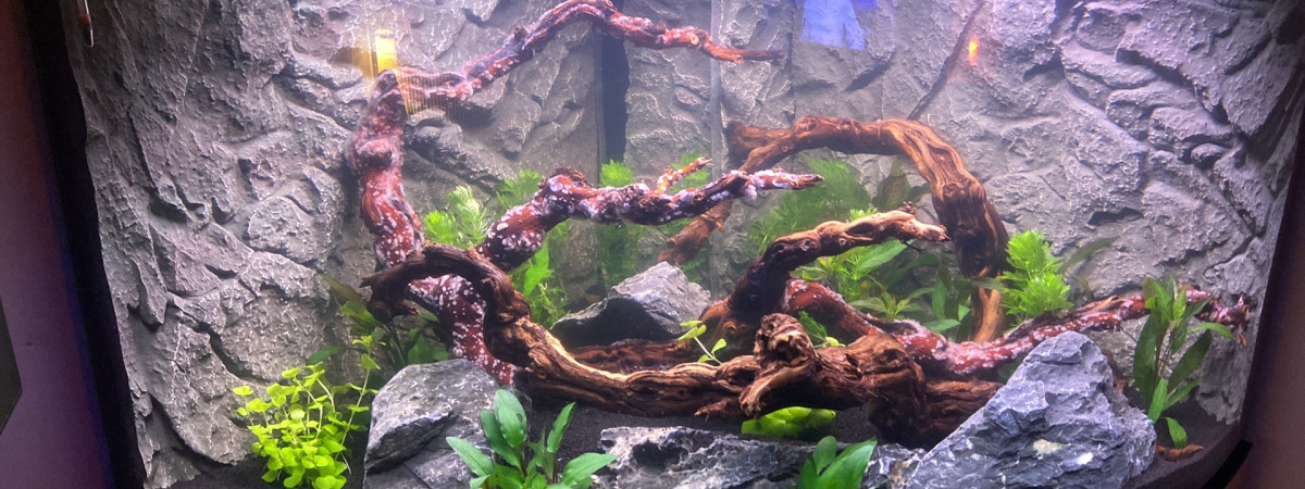 aquarium Juwel Trigon 190