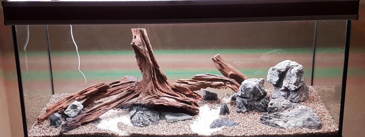 aquarium Bac 170L