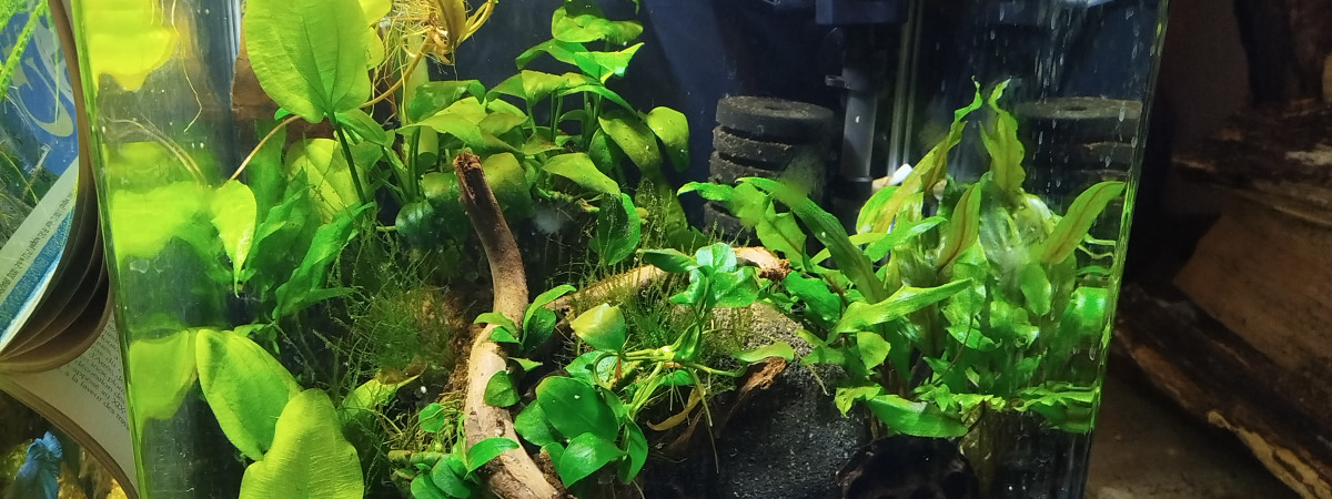 aquarium Nano Koh Nok