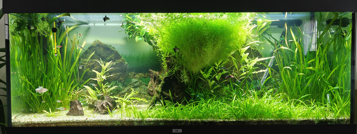 aquarium RIO 400