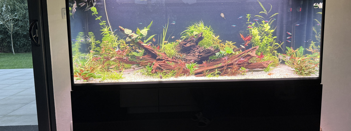 aquarium AQUAEL glossy 150