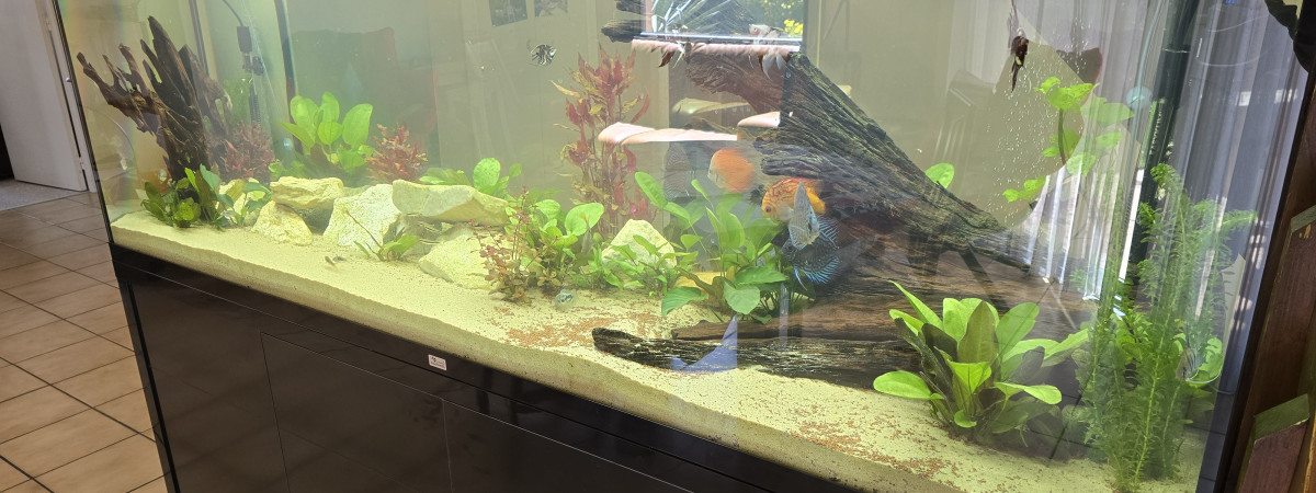 aquarium Aquarium 800 l