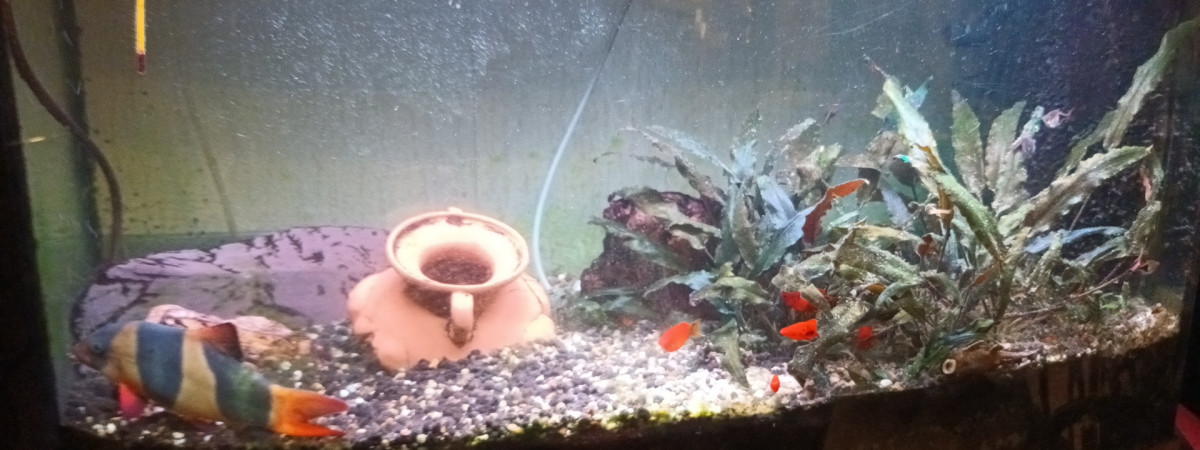 aquarium Mon Vision 180l