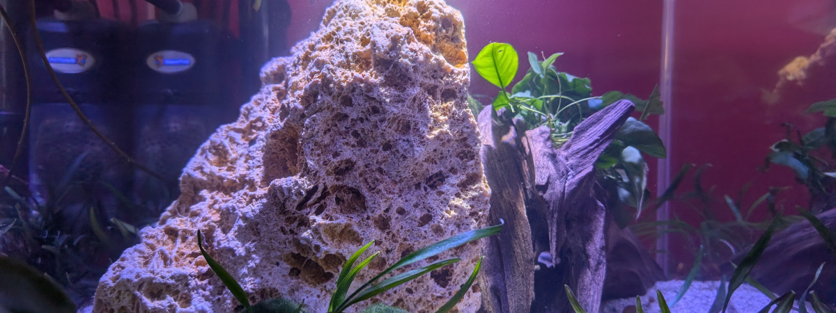 aquarium AMTRA NANOSCAPING 35