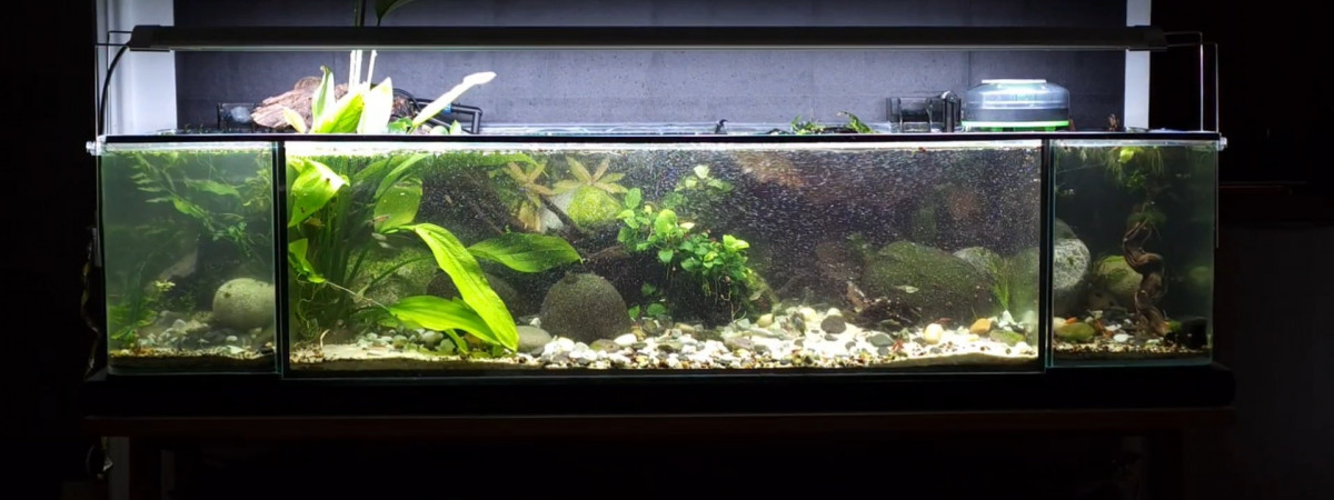 aquarium TRIPTYQUE