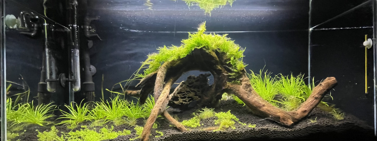 aquarium Communautaire