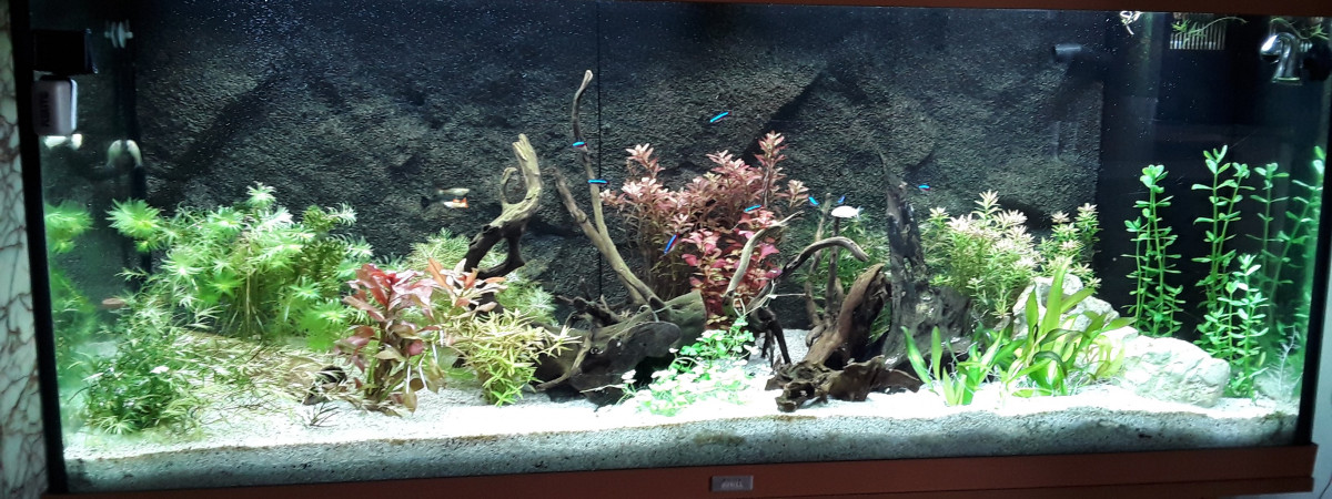 aquarium Monaqua