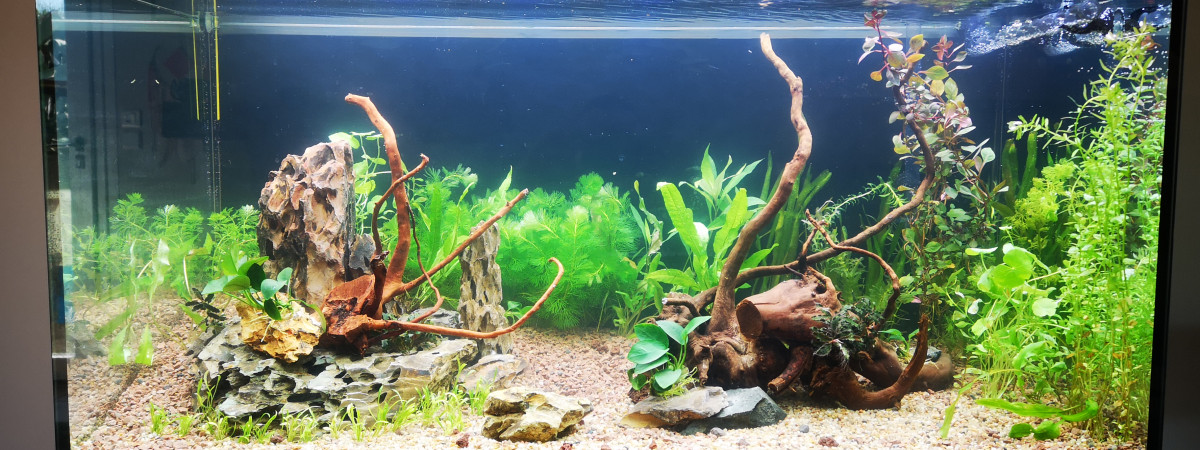 aquarium Mon premier