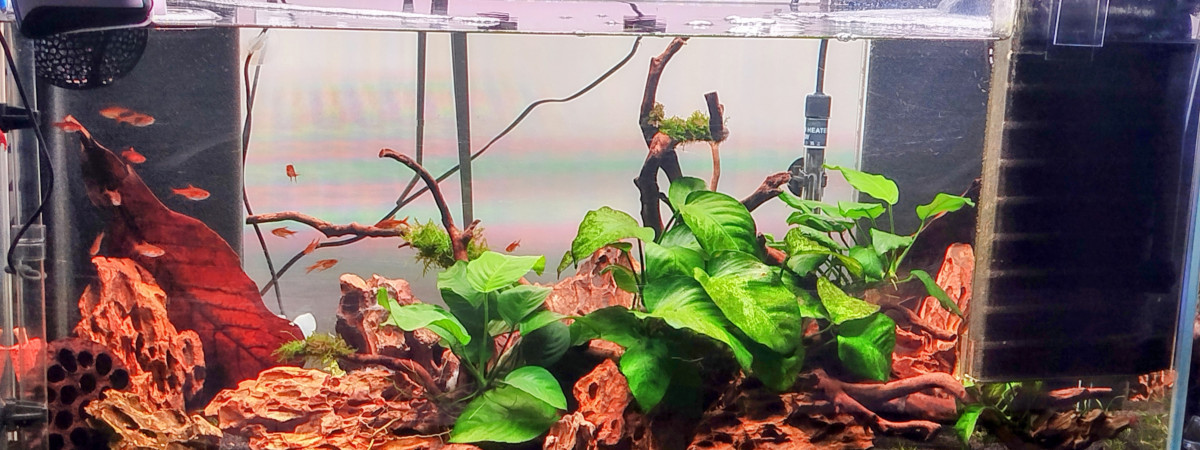 aquarium Aquarium 80L